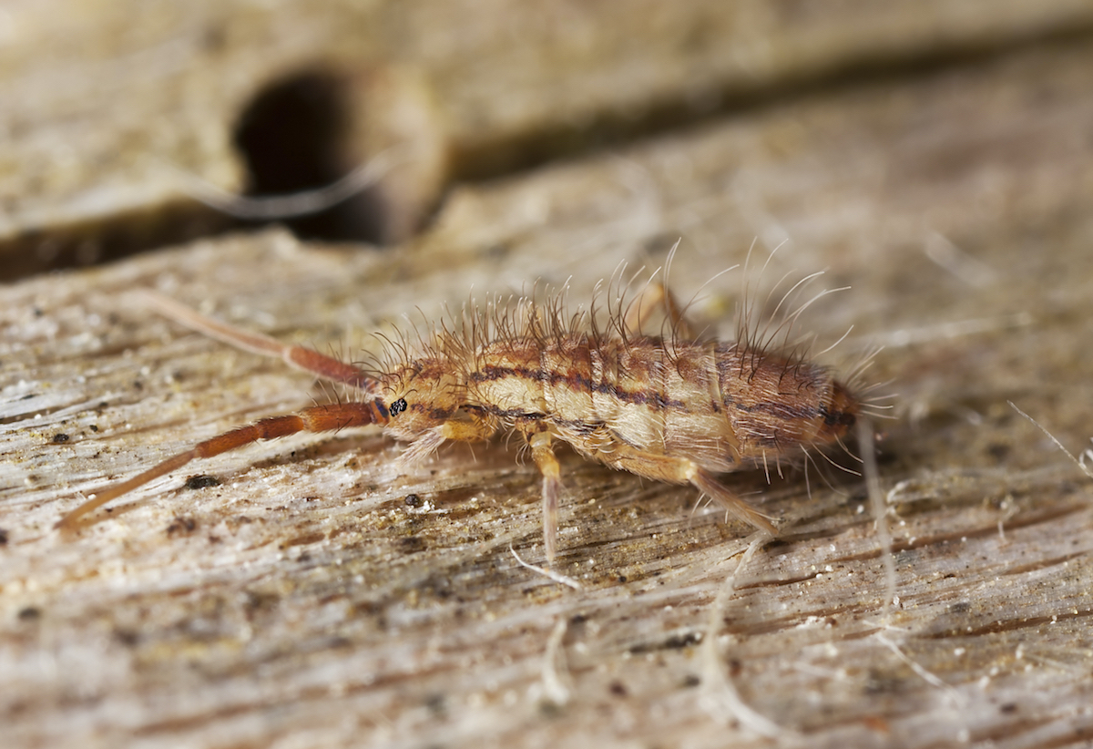 istock_000016317413_large.jpg (1)
