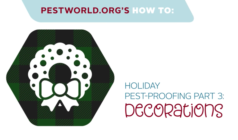 Holiday Pest Proofing Part 3_Call Out Image.png