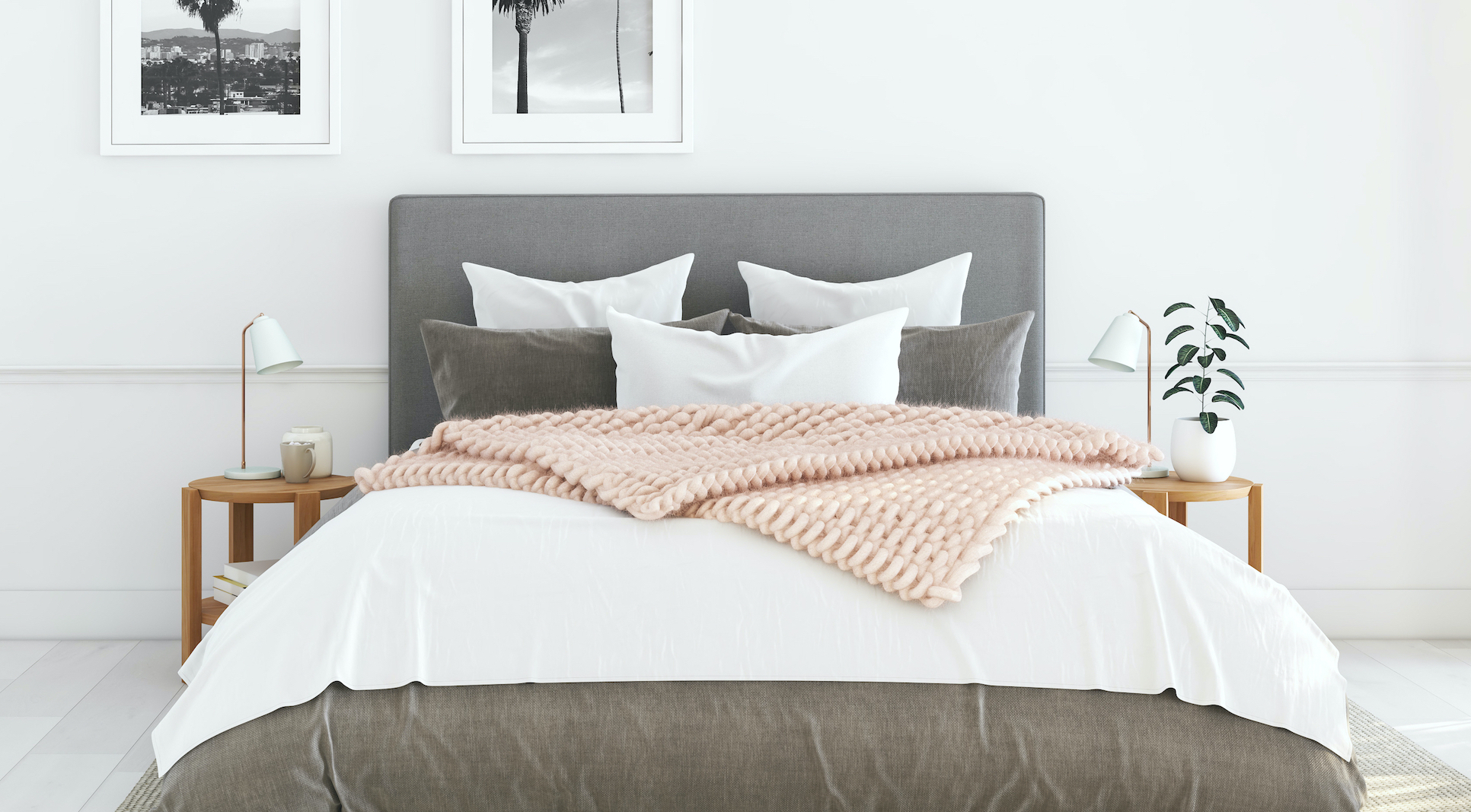 Why are Bed Bugs Attracted to Humans?