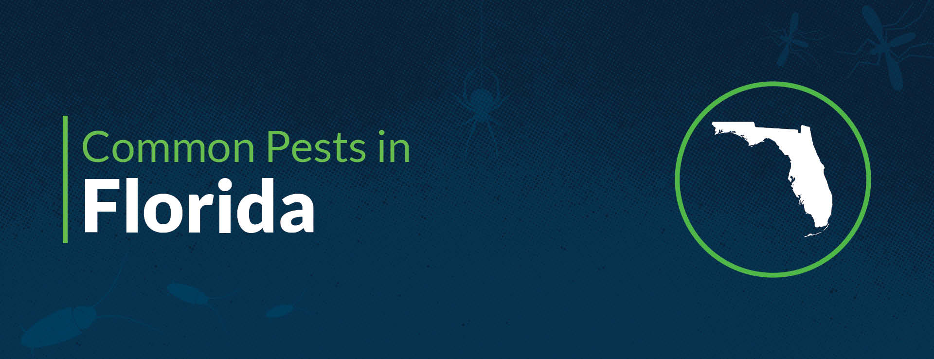PPMA Common Pests By State Florida