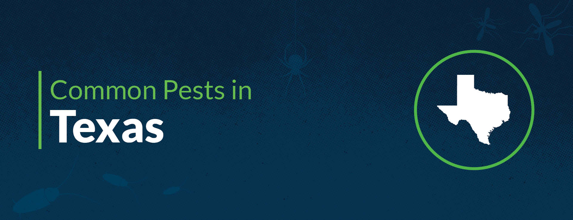 PPMA Common Pests By State Texas