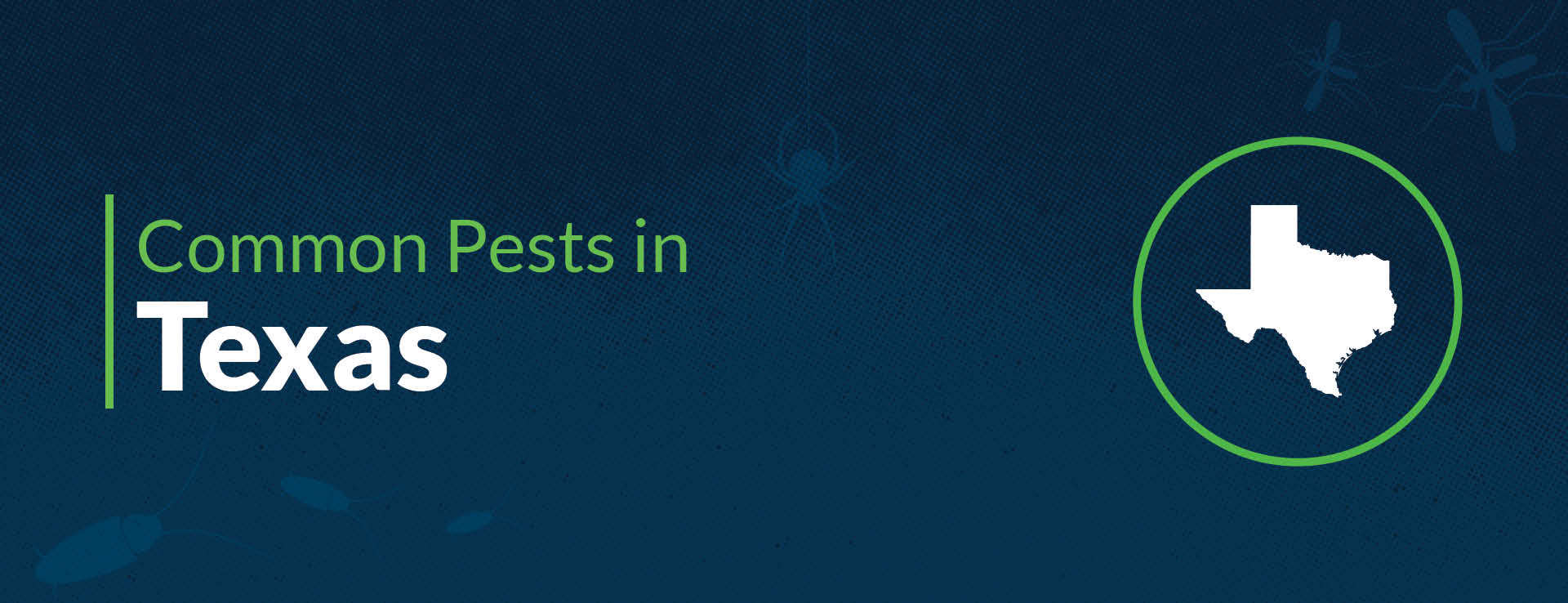 PPMA Common Pests By State Texas