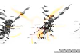 Shutterstock 1581387442