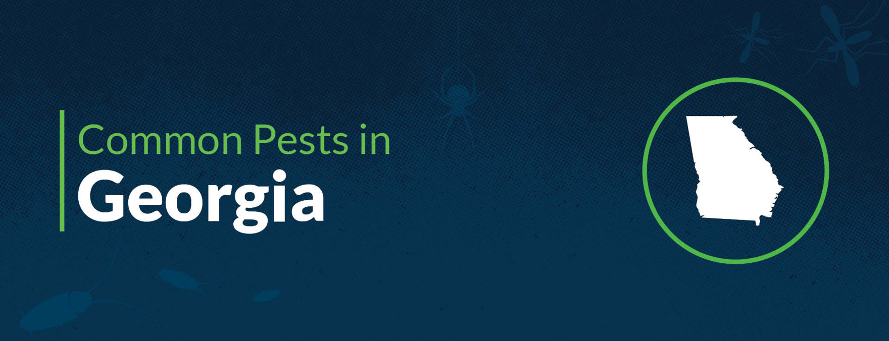 List of Common Pests & Insects in Georgia | Insect Identification