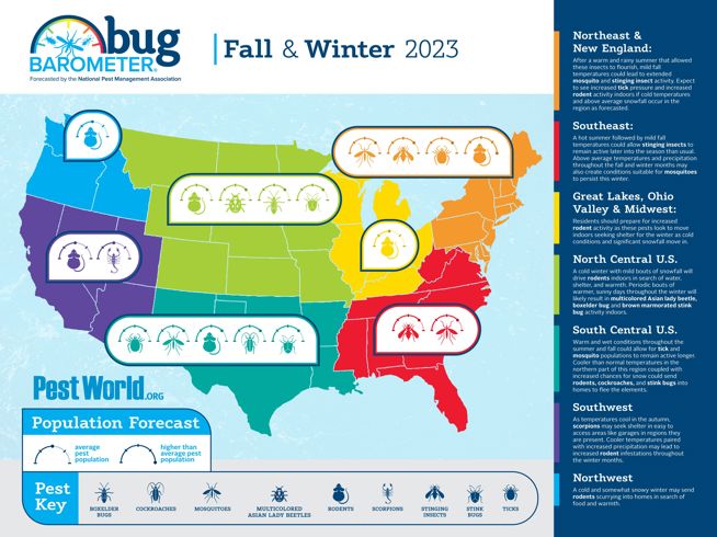 Scorpions in the Southwest United States - PestWorld