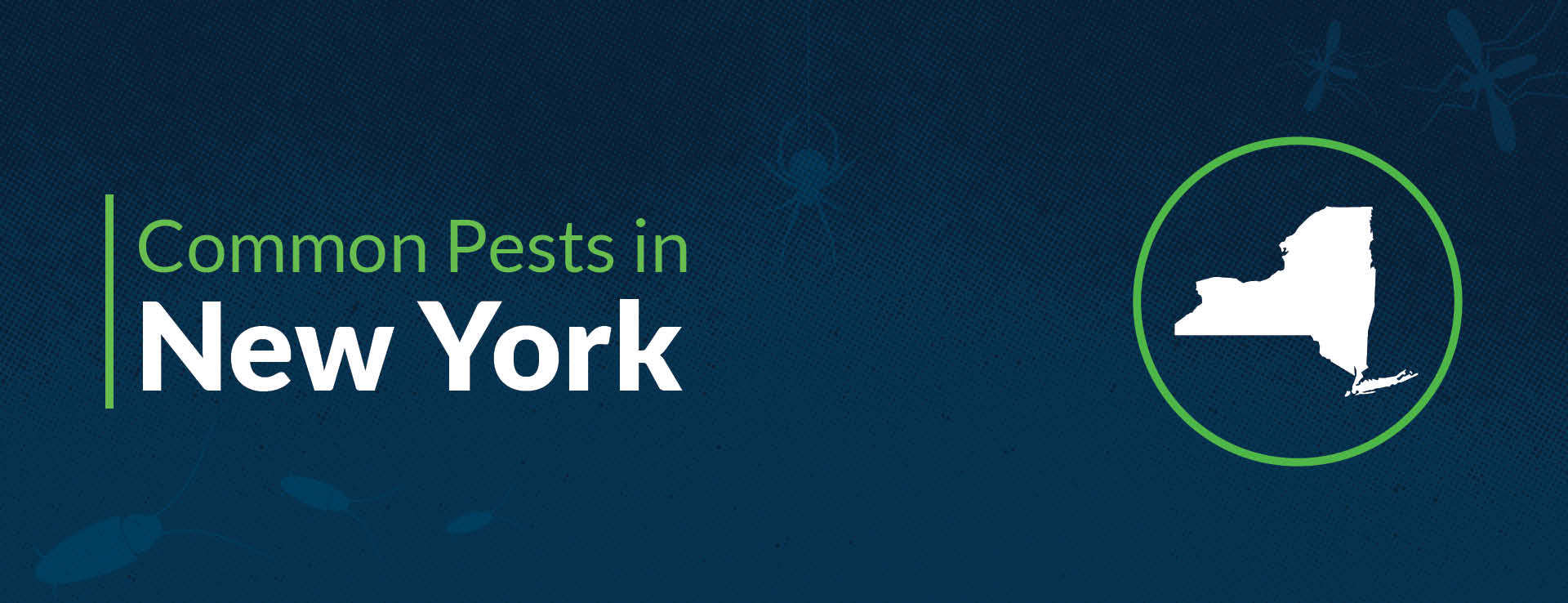 PPMA Common Pests By State New York