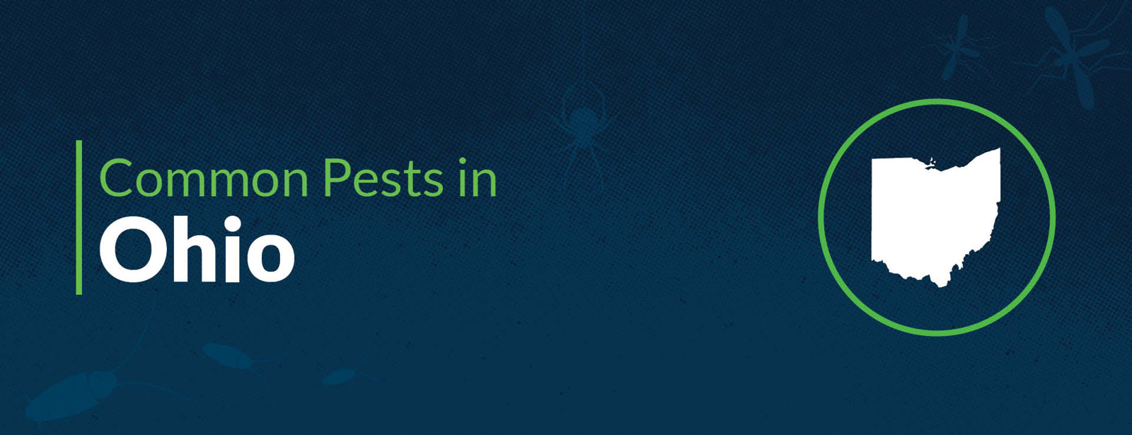 Pest Control & Insects in Ohio | Common Household Bugs in OH