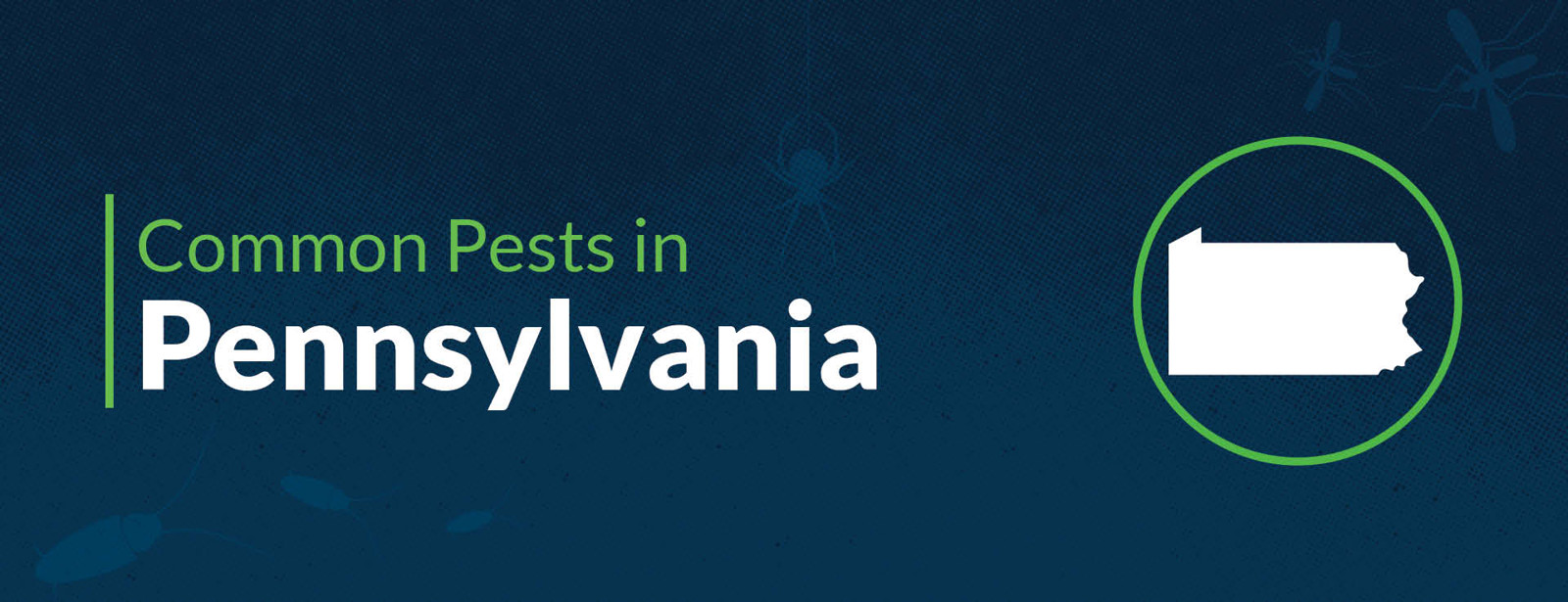 Pest Control in Pennsylvania Common Household Pests in PA
